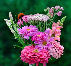 Pink Bouquet